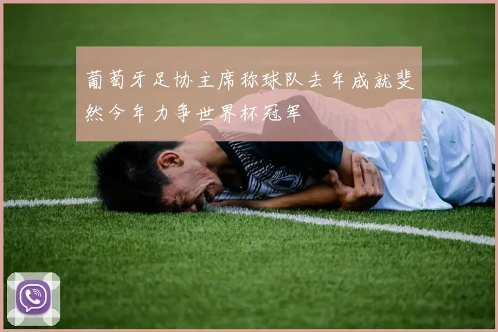 葡萄牙足协主席称球队去年成就斐然今年力争世界杯冠军